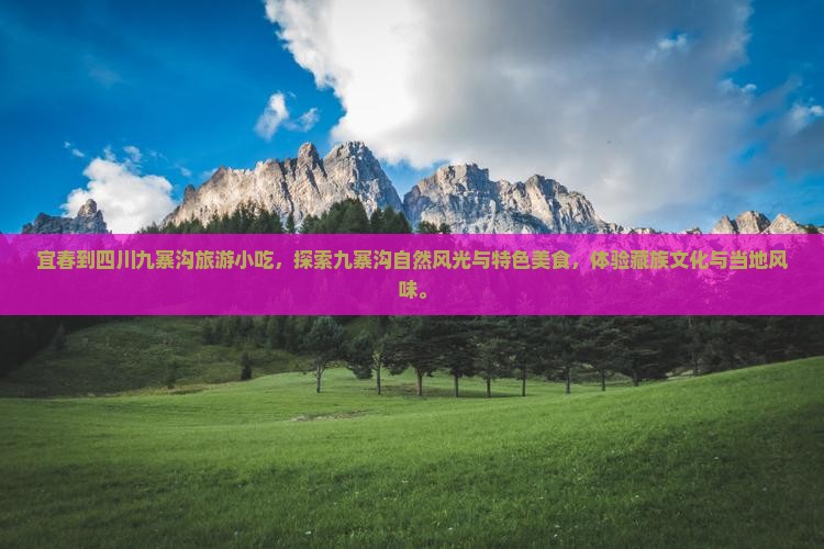 宜春到四川九寨沟旅游小吃