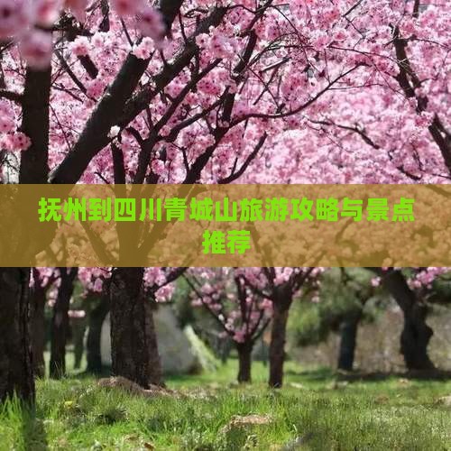 抚州到四川青城山自由行