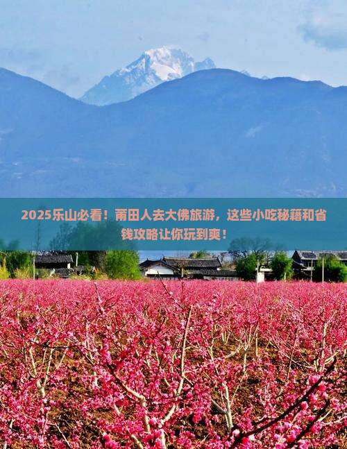 莆田去四川乐山大佛旅游小吃