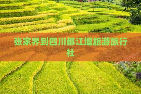 张家界到四川都江堰旅行社