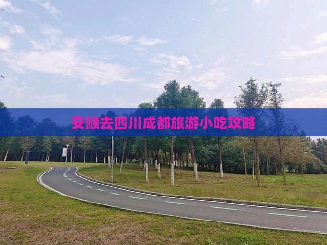 安顺去四川成都旅游小吃