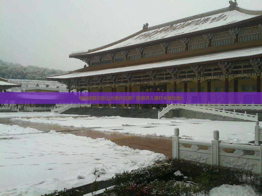 亳州去四川乐山大佛六日游？想避开人潮打卡网红地？