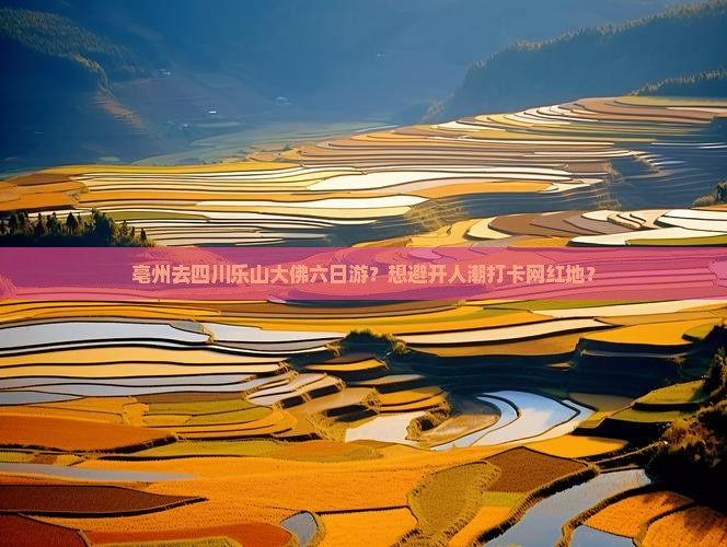 亳州去四川乐山大佛六日游？想避开人潮打卡网红地？