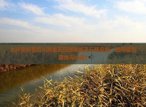 大兴安岭至四川黄龙五日游攻略及行程安排，如何规划路线与住宿？