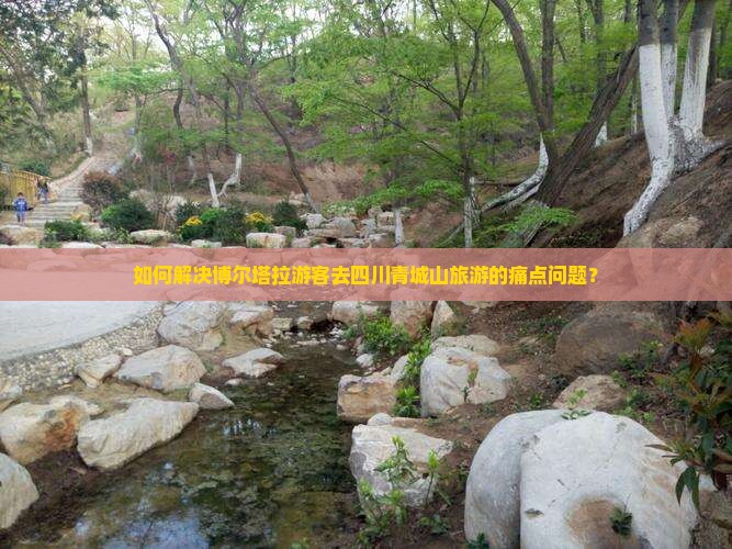 如何解决博尔塔拉游客去四川青城山旅游的痛点问题？