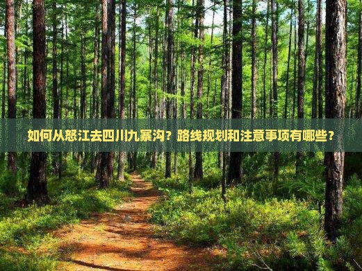 如何从怒江去四川九寨沟？路线规划和注意事项有哪些？