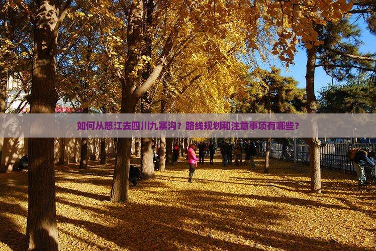 如何从怒江去四川九寨沟？路线规划和注意事项有哪些？