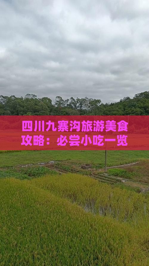 四川九寨沟旅游美食攻略：必尝小吃一览