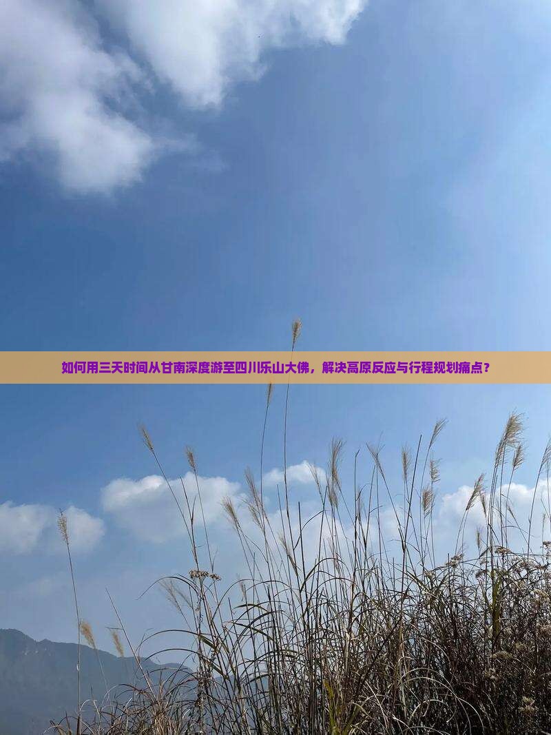 如何用三天时间从甘南深度游至四川乐山大佛，解决高原反应与行程规划痛点？