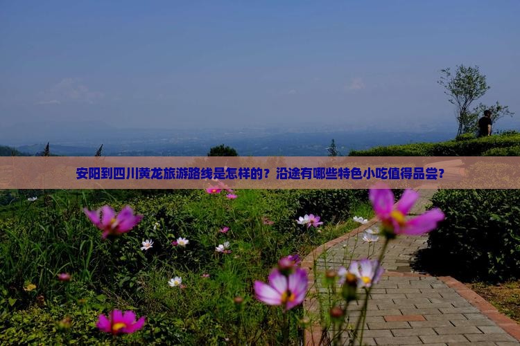 安阳到四川黄龙旅游路线是怎样的？沿途有哪些特色小吃值得品尝？