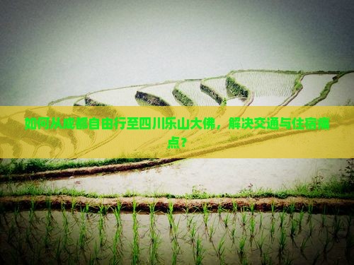 如何从成都自由行至四川乐山大佛，解决交通与住宿痛点？