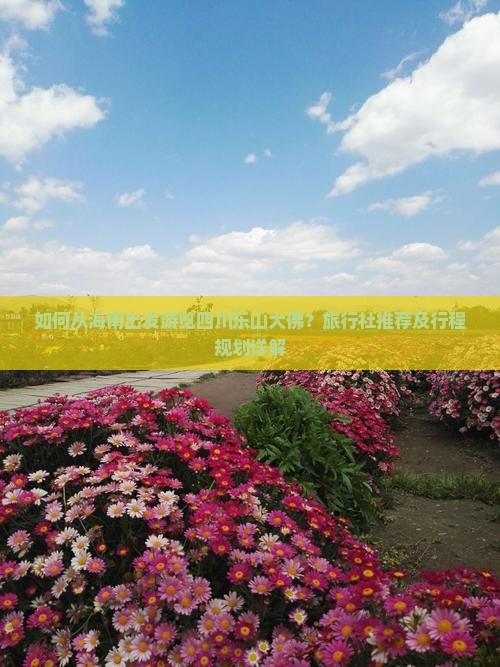 如何从海南出发游览四川乐山大佛？旅行社推荐及行程规划详解