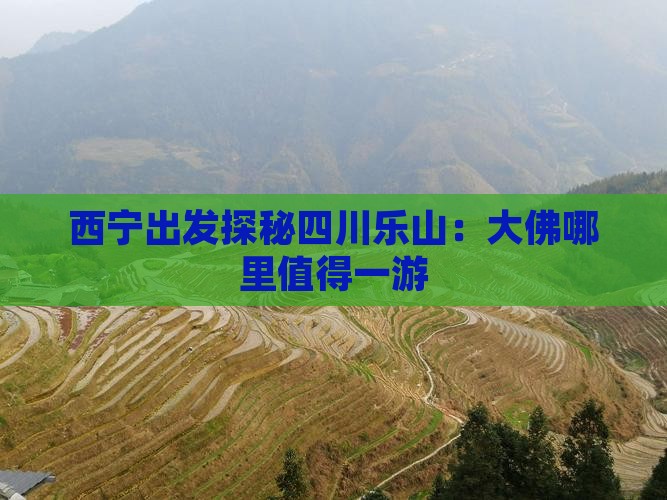 西宁出发探秘四川乐山：大佛哪里值得一游