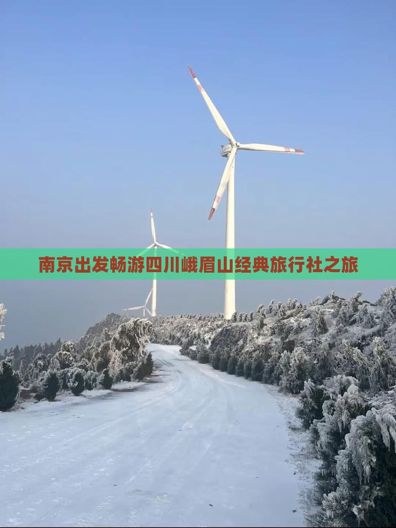 南京出发畅游四川峨眉山经典旅行社之旅
