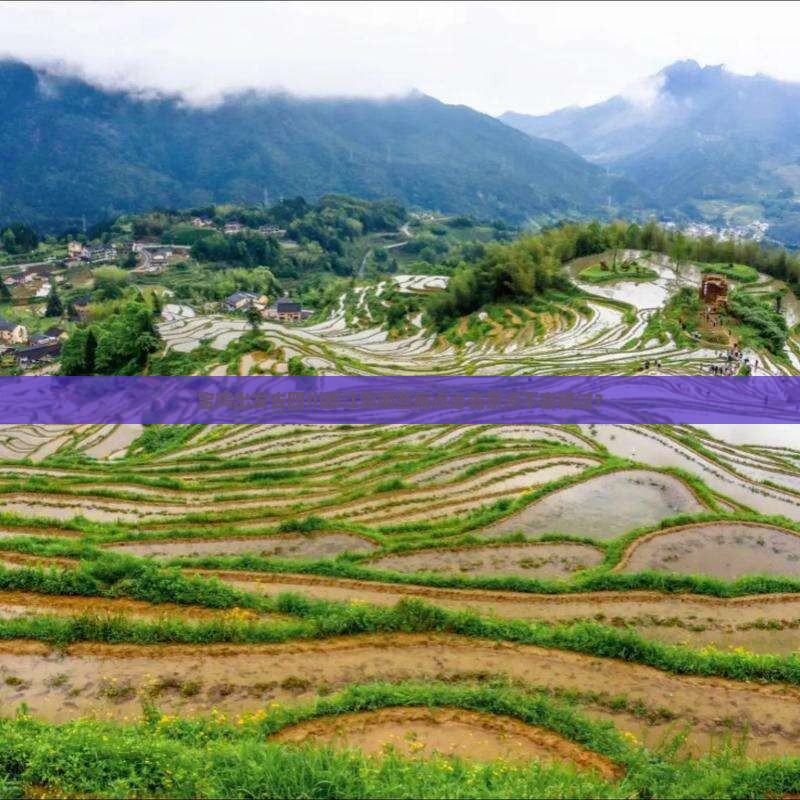 宝鸡出发去四川都江熏哪些痛点必去景点不容错过？