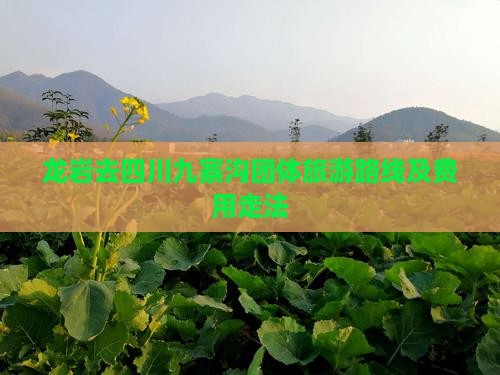 龙岩去四川九寨沟团体旅游路线及费用走法