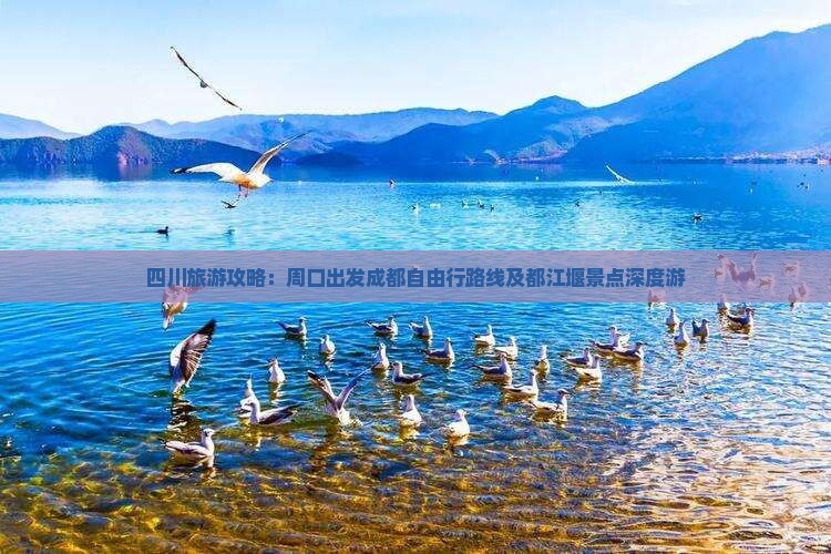 四川旅游攻略：周口出发成都自由行路线及都江堰景点深度游