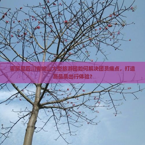 霍邱至四川青城山大型旅游团如何解决团员痛点，打造高品质出行体验？