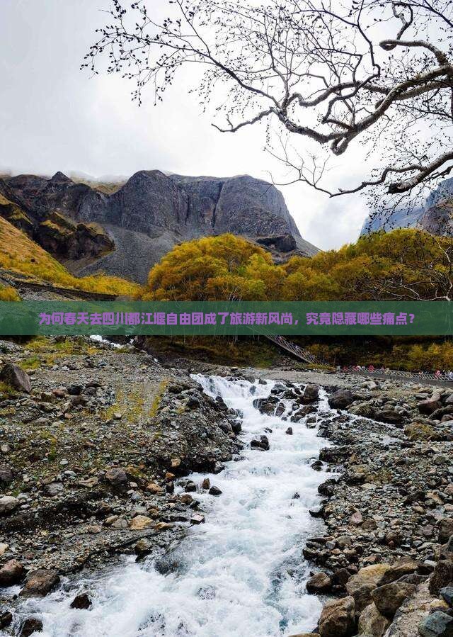 为何春天去四川都江堰自由团成了旅游新风尚，究竟隐藏哪些痛点？