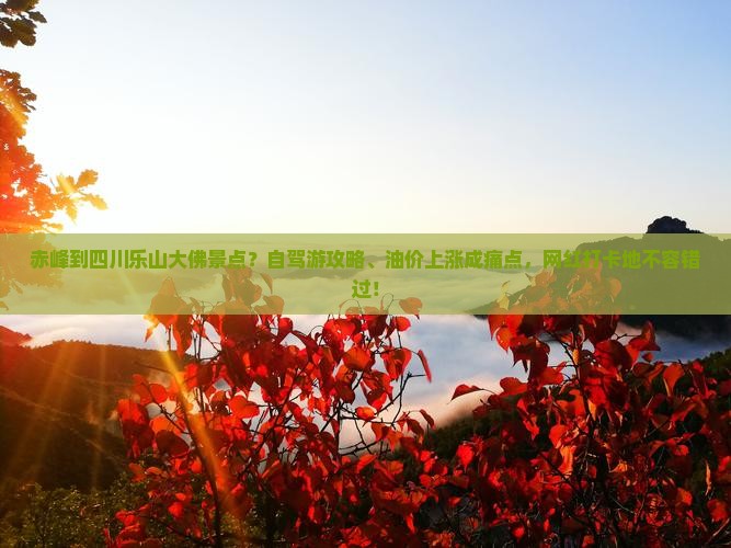 赤峰到四川乐山大佛景点？自驾游攻略、油价上涨成痛点，网红打卡地不容错过！
