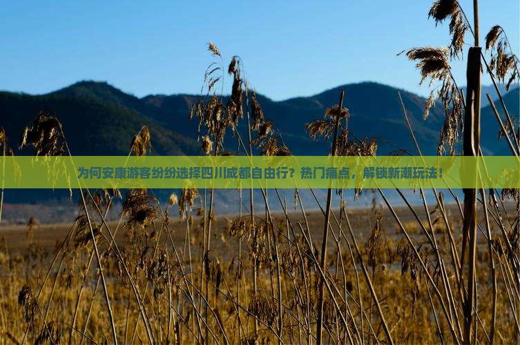 为何安康游客纷纷选择四川成都自由行？热门痛点，解锁新潮玩法！