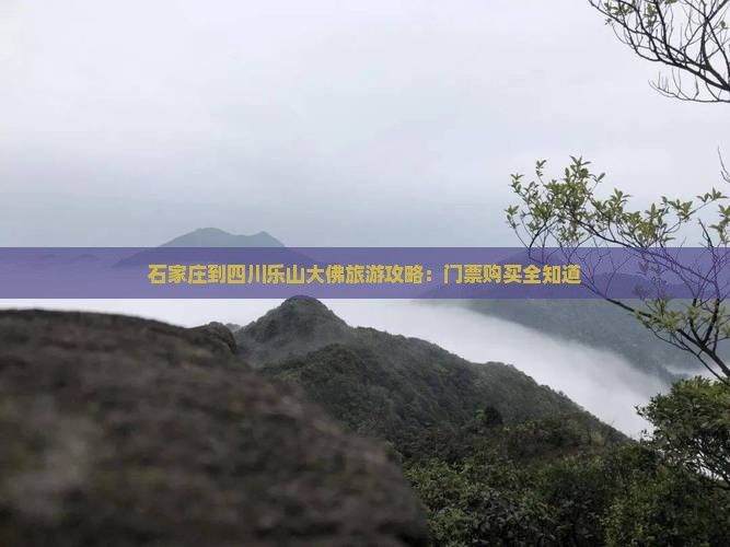 石家庄到四川乐山大佛旅游攻略：门票购买全知道