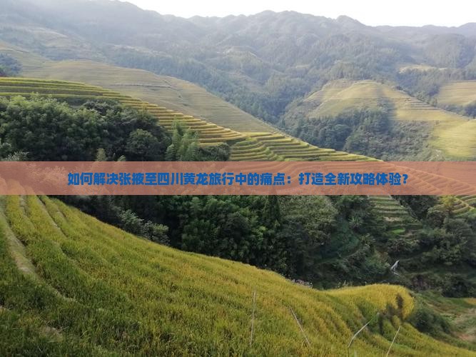 如何解决张掖至四川黄龙旅行中的痛点：打造全新攻略体验？