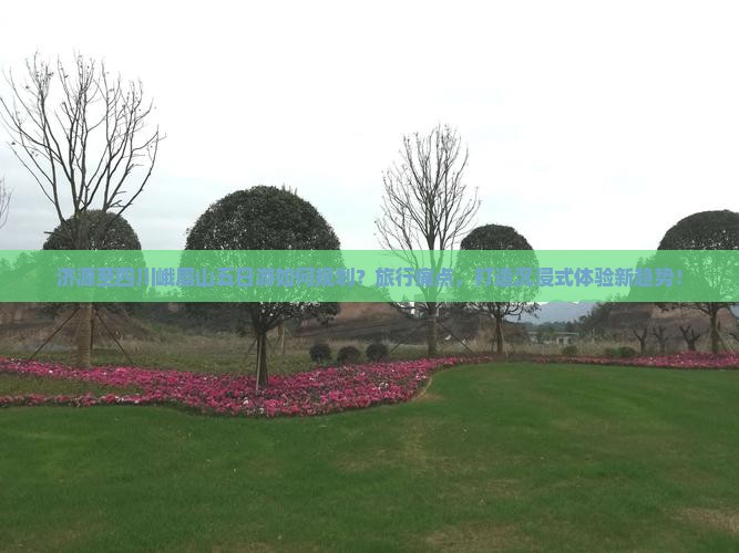 济源至四川峨眉山五日游如何规划？旅行痛点，打造沉浸式体验新趋势！