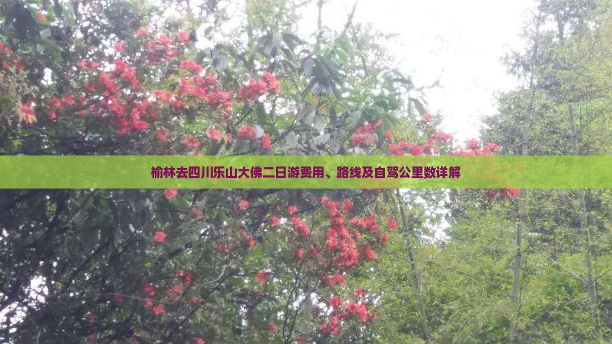 榆林去四川乐山大佛二日游费用、路线及自驾公里数详解