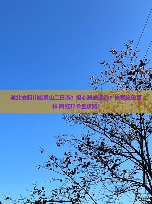 淮北去四川峨眉山二日游？担心路途遥远？快看这份高铁+网红打卡全攻略！