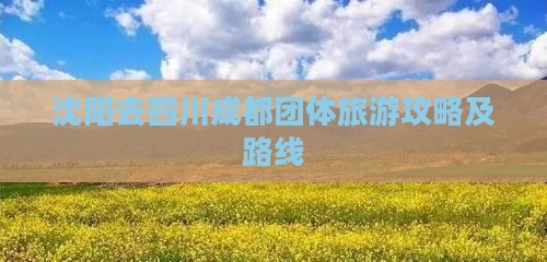 沈阳去四川成都团体旅游攻略及路线