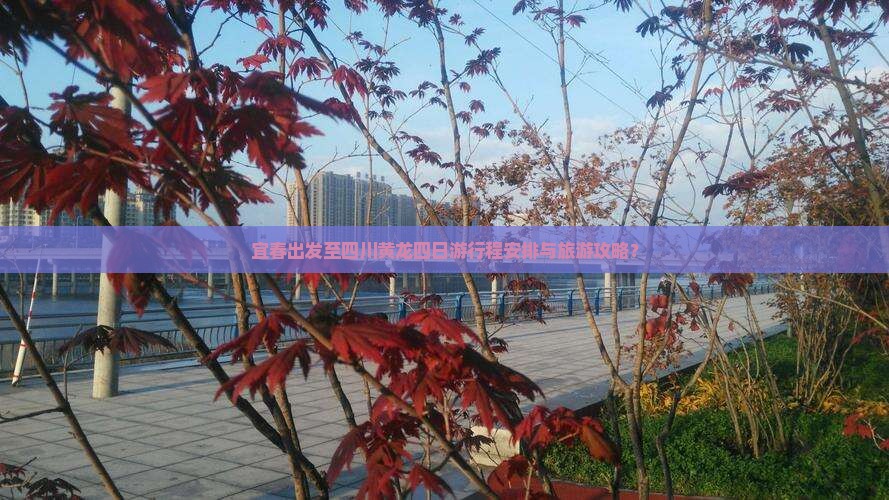 宜春出发至四川黄龙四日游行程安排与旅游攻略？