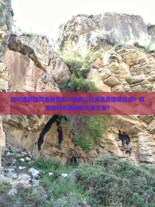 如何组织西双版纳至四川峨眉山的高品质团体旅游？有哪些特色路线和优惠方案？