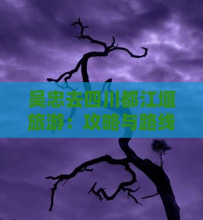 吴忠去四川都江堰旅游：攻略与路线指南