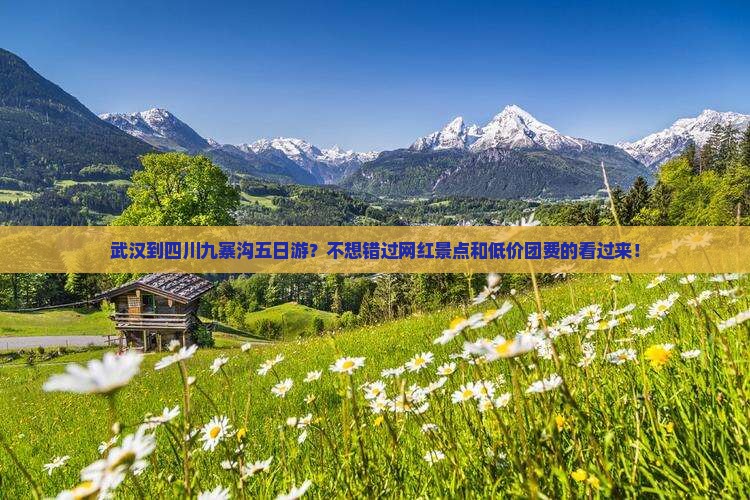 武汉到四川九寨沟五日游？不想错过网红景点和低价团费的看过来！