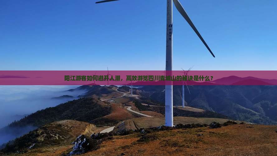 阳江游客如何避开人潮，高效游览四川青城山的秘诀是什么？