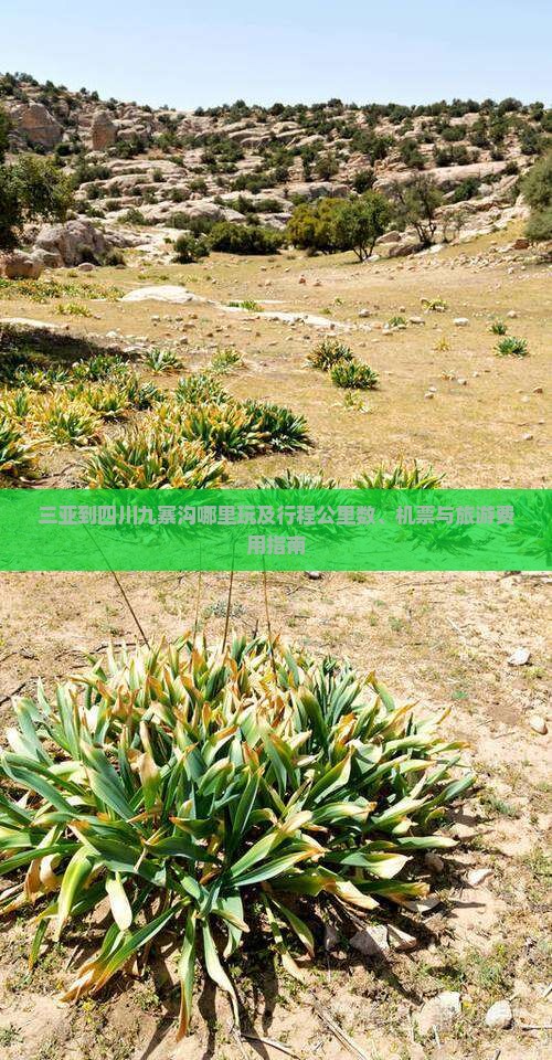三亚到四川九寨沟哪里玩及行程公里数、机票与旅游费用指南 三亚到四川九寨沟哪里玩及行程公里数、机票与旅游费用指南
