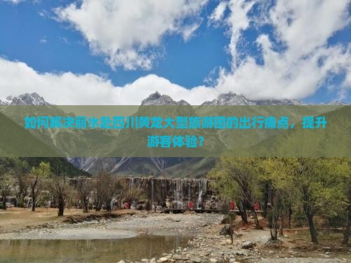 如何解决丽水赴四川黄龙大型旅游团的出行痛点，提升游客体验？