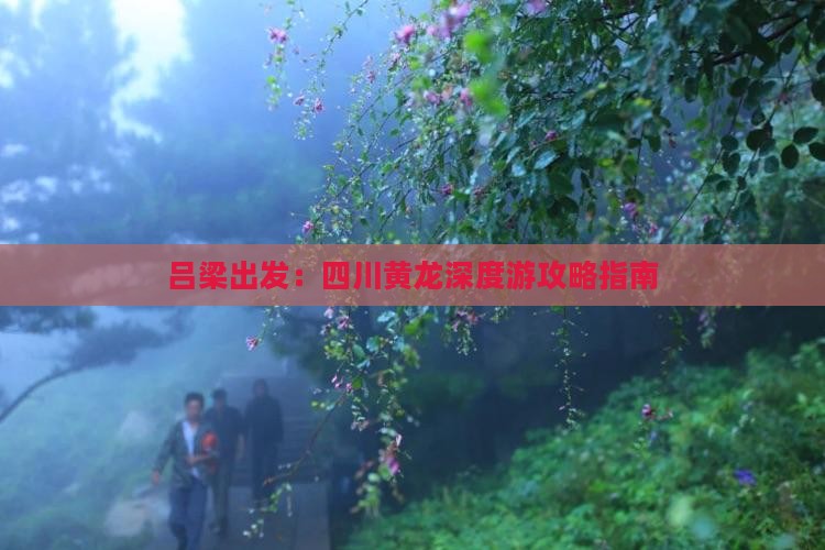 吕梁出发:四川黄龙深度游攻略指南 吕梁出发:四川黄龙深度游攻略指南