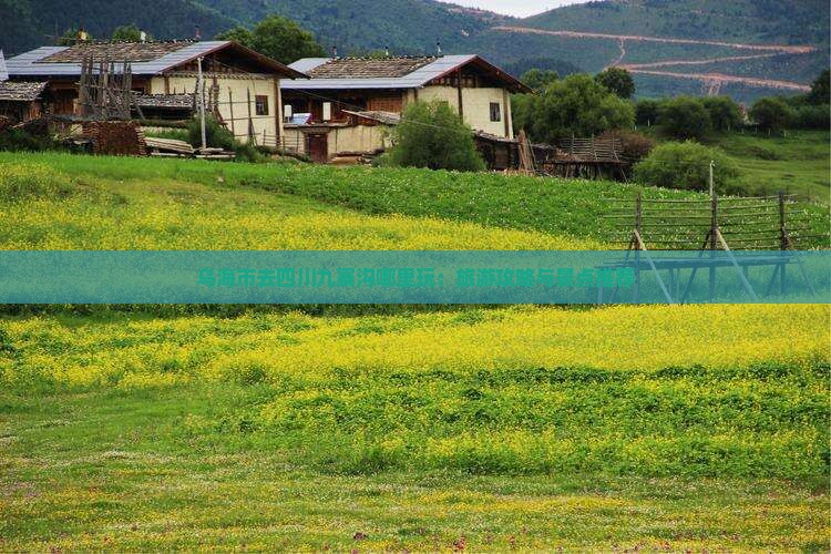 乌海市去四川九寨沟哪里玩：旅游攻略与景点推荐