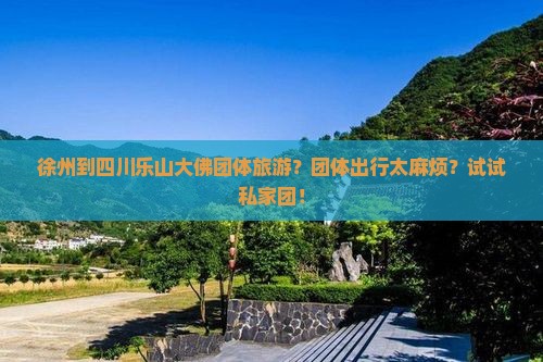 徐州到四川乐山大佛团体旅游？团体出行太麻烦？试试私家团！
