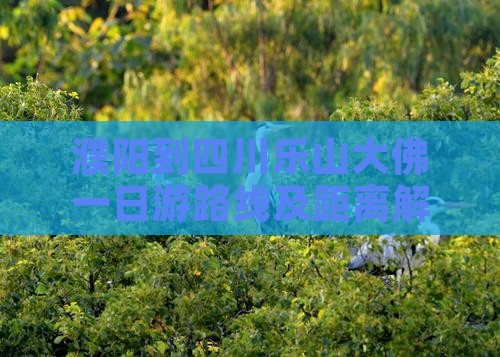 濮阳到四川乐山大佛一日游路线及距离解析