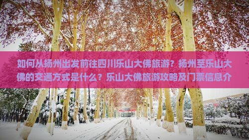 如何从扬州出发前往四川乐山大佛旅游？扬州至乐山大佛的交通方式是什么？乐山大佛旅游攻略及门票信息介绍