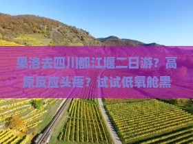 果洛去四川都江堰二日游？高原反应头疼？试试低氧舱黑科技两天玩转青城山