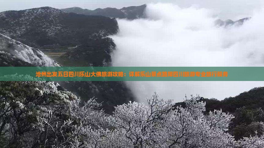 沧州出发五日四川乐山大佛旅游攻略：详解乐山景点路犀四川旅游专业旅行服务