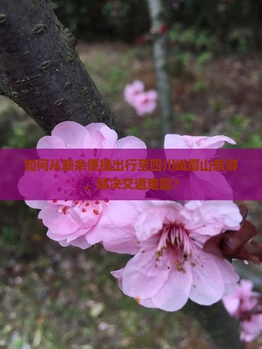 如何从新余便捷出行至四川峨眉山旅游，解决交通难题？