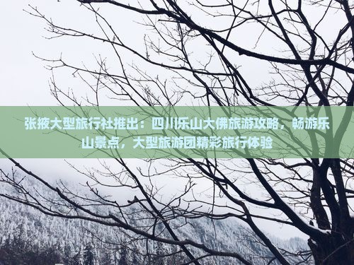 张掖大型旅行社推出：四川乐山大佛旅游攻略，畅游乐山景点，大型旅游团精彩旅行体验