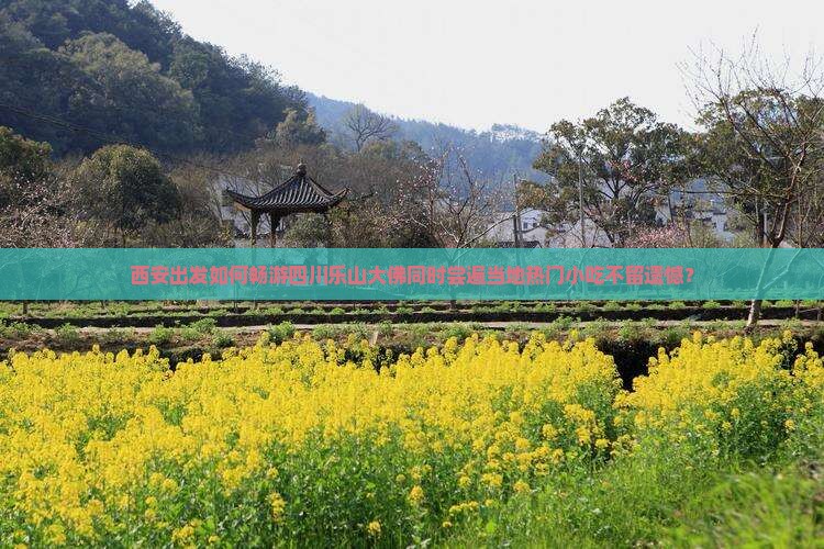 西安出发如何畅游四川乐山大佛同时尝遍当地热门小吃不留遗憾？
