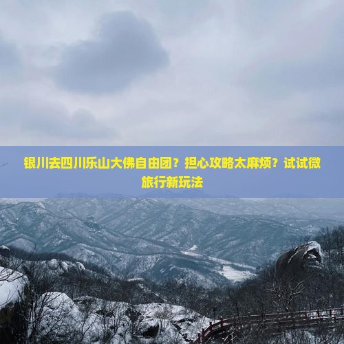 银川去四川乐山大佛自由团？担心攻略太麻烦？试试微旅行新玩法