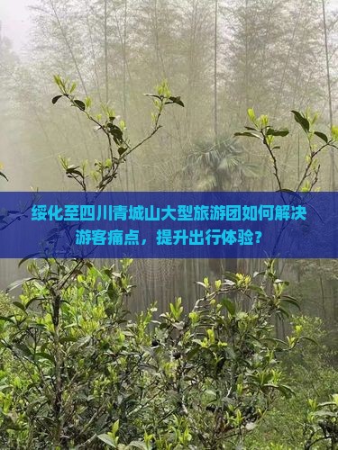 绥化至四川青城山大型旅游团如何解决游客痛点，提升出行体验？